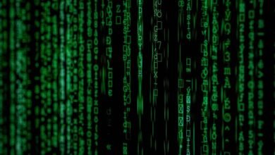 data identifiers and codes