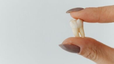 insight extraction index overview