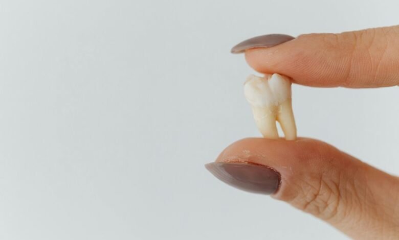 insight extraction index overview